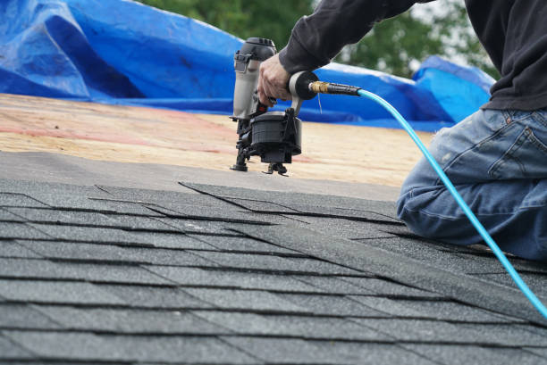 Roof Waterproofing Services in Cecil Bishop, PA