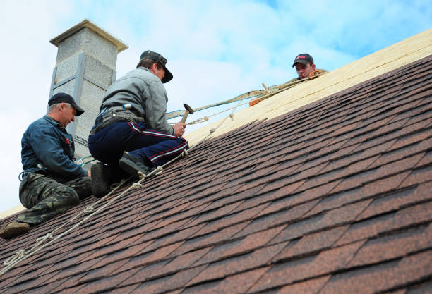 Slate Roofing Contractor in Cecil Bishop, PA